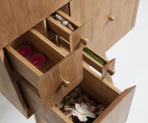 Curious Cabinet Inspired by the Fibonacci Sequence