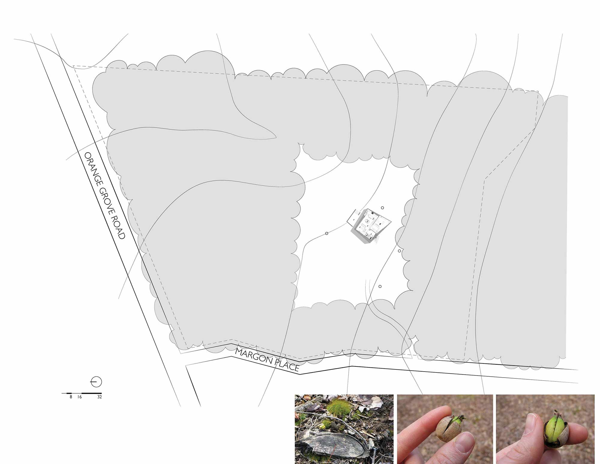 Site Plan, Crabill Modern, North Carolina by Tonic Design